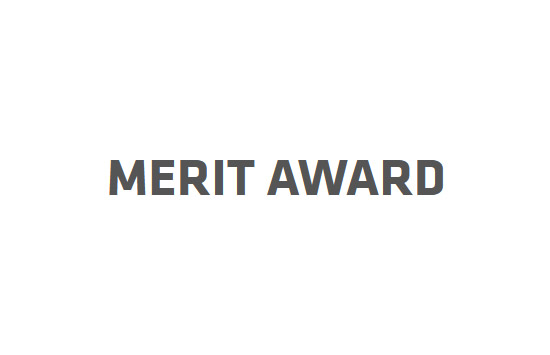 Merit Award Logo